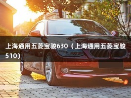 上海通用五菱宝骏630（上海通用五菱宝骏510）