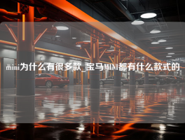 mini为什么有很多款_宝马MINI都有什么款式的