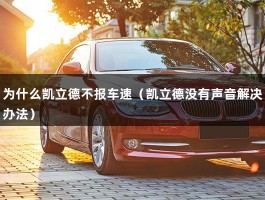 为什么凯立德不报车速（凯立德没有声音解决办法）