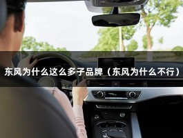 东风为什么这么多子品牌（东风为什么不行）