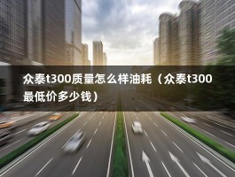 众泰t300质量怎么样油耗（众泰t300最低价多少钱）