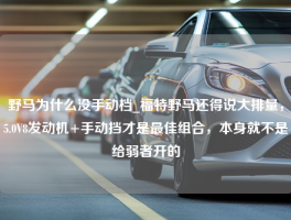 野马为什么没手动档_福特野马还得说大排量，5.0V8发动机+手动挡才是最佳组合，本身就不是给弱者开的