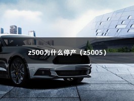 z500为什么停产（z5005）