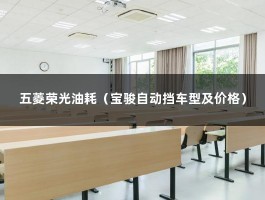 五菱荣光油耗（宝骏自动挡车型及价格）