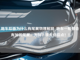 跑车后面为什么有尾翼物理解释_跑车一般都会有加装尾翼，为何？求大虾指点！！