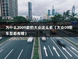 为什么2009款的大众这么多（大众09年车型都有啥）