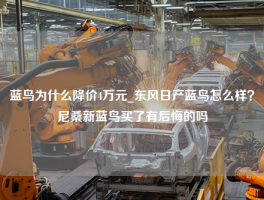 蓝鸟为什么降价4万元_东风日产蓝鸟怎么样？尼桑新蓝鸟买了有后悔的吗