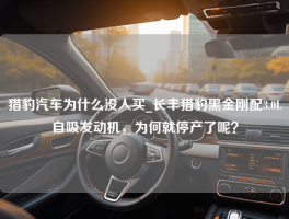 猎豹汽车为什么没人买_长丰猎豹黑金刚配3.0L自吸发动机，为何就停产了呢？