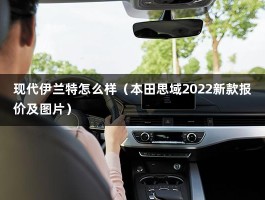 现代伊兰特怎么样（本田思域2022新款报价及图片）