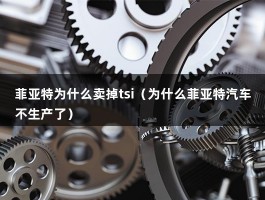 菲亚特为什么卖掉tsi（为什么菲亚特汽车不生产了）