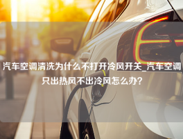 汽车空调清洗为什么不打开冷风开关_汽车空调只出热风不出冷风怎么办？