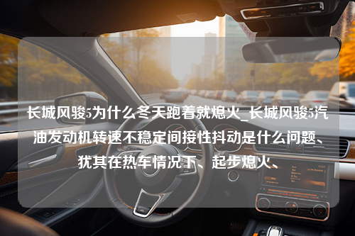 长城风骏5为什么冬天跑着就熄火_长城风骏5汽油发动机转速不稳定间接性抖动是什么问题、犹其在热车情况下、起步熄火、