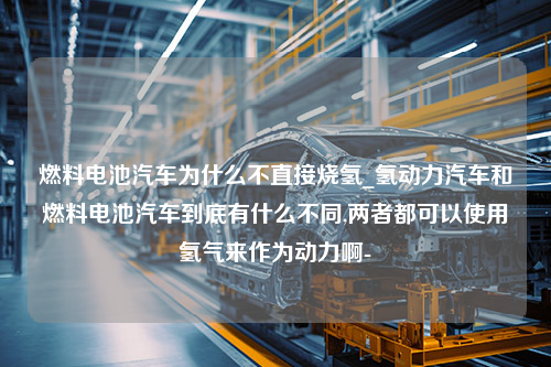 燃料电池汽车为什么不直接烧氢_氢动力汽车和燃料电池汽车到底有什么不同,两者都可以使用氢气来作为动力啊-