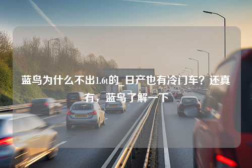 蓝鸟为什么不出1.6t的_日产也有冷门车？还真有，蓝鸟了解一下