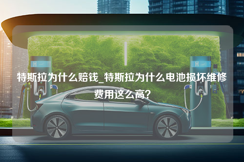 特斯拉为什么赔钱_特斯拉为什么电池损坏维修费用这么高？