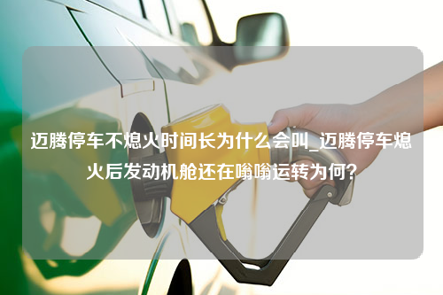 迈腾停车不熄火时间长为什么会叫_迈腾停车熄火后发动机舱还在嗡嗡运转为何？