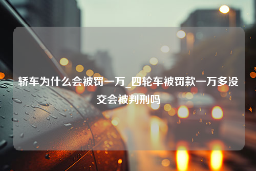 轿车为什么会被罚一万_四轮车被罚款一万多没交会被判刑吗