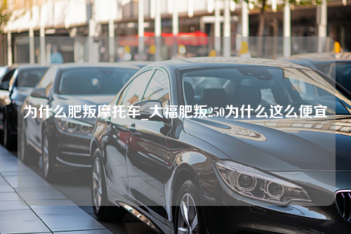 为什么肥叛摩托车_大福肥叛250为什么这么便宜