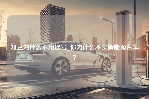 知豆为什么不用摇号_你为什么不买新能源汽车？